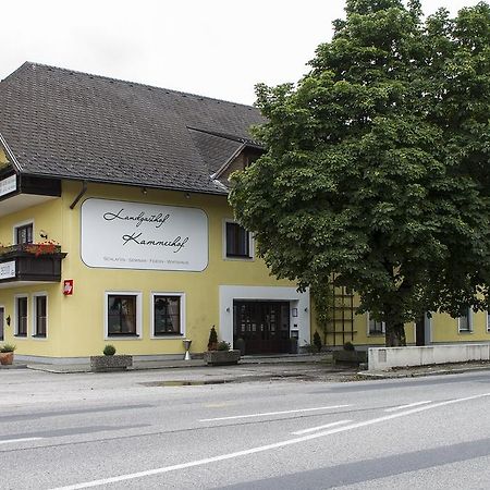 Landgasthof Kammerhof Hofstetten エクステリア 写真